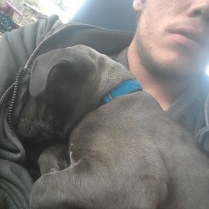 Meet your Posher, Brendan